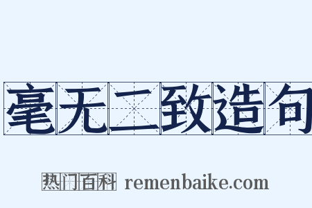 毫无二致造句是什么意思的图片